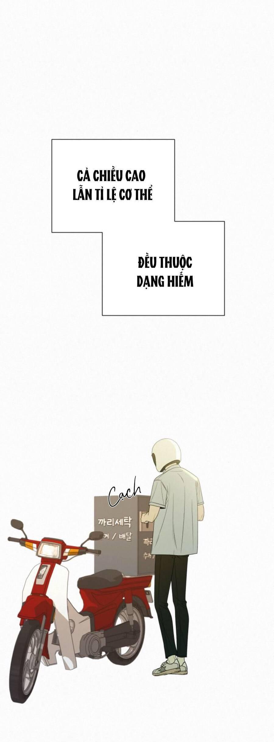Tình Yêu Trong Sáng 