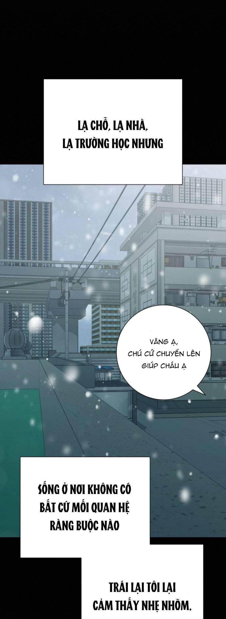 Tình Yêu Trong Sáng 