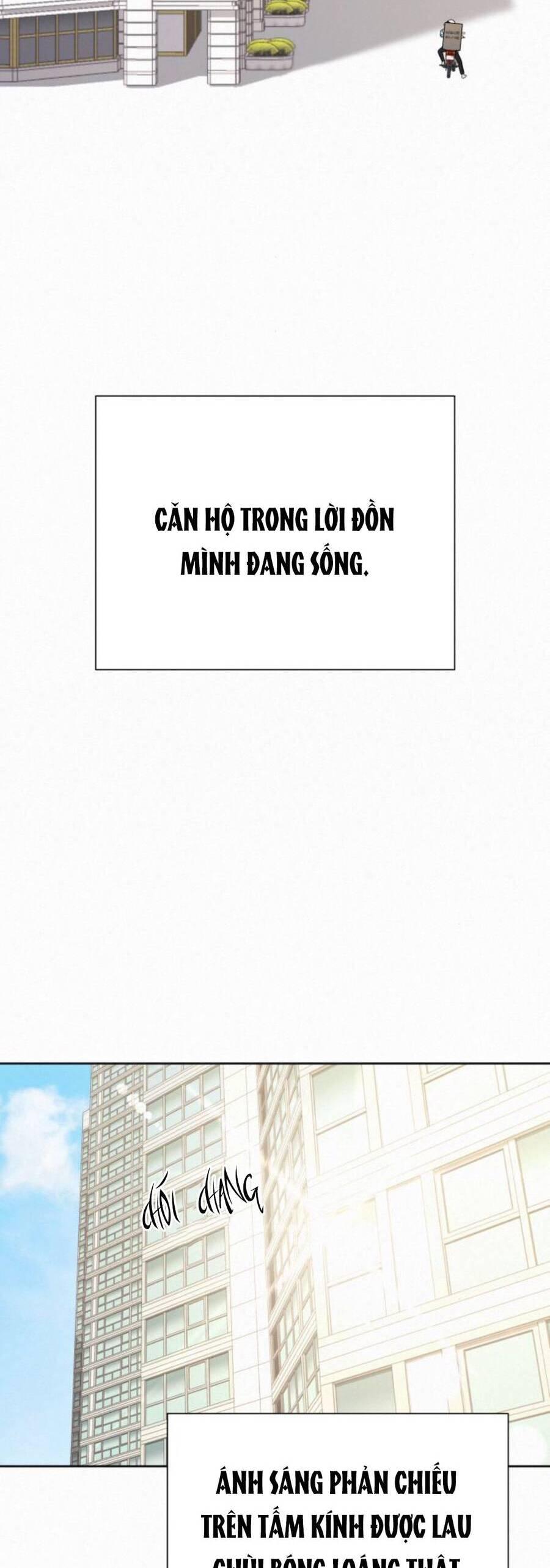 Tình Yêu Trong Sáng 