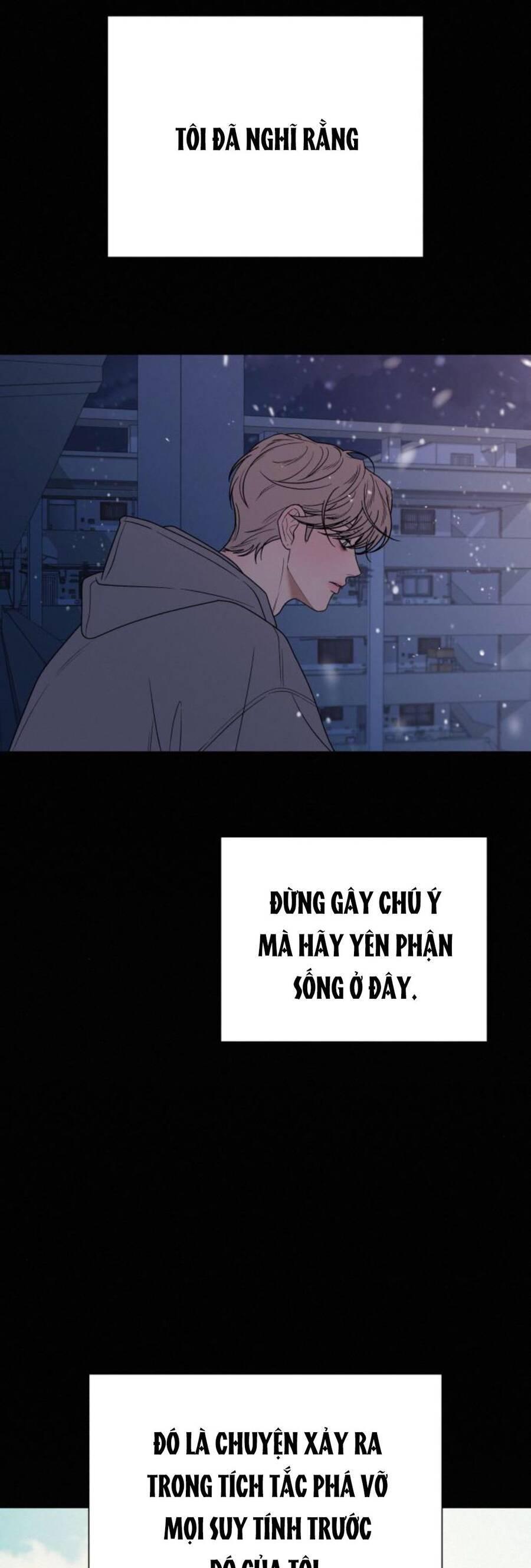 Tình Yêu Trong Sáng 