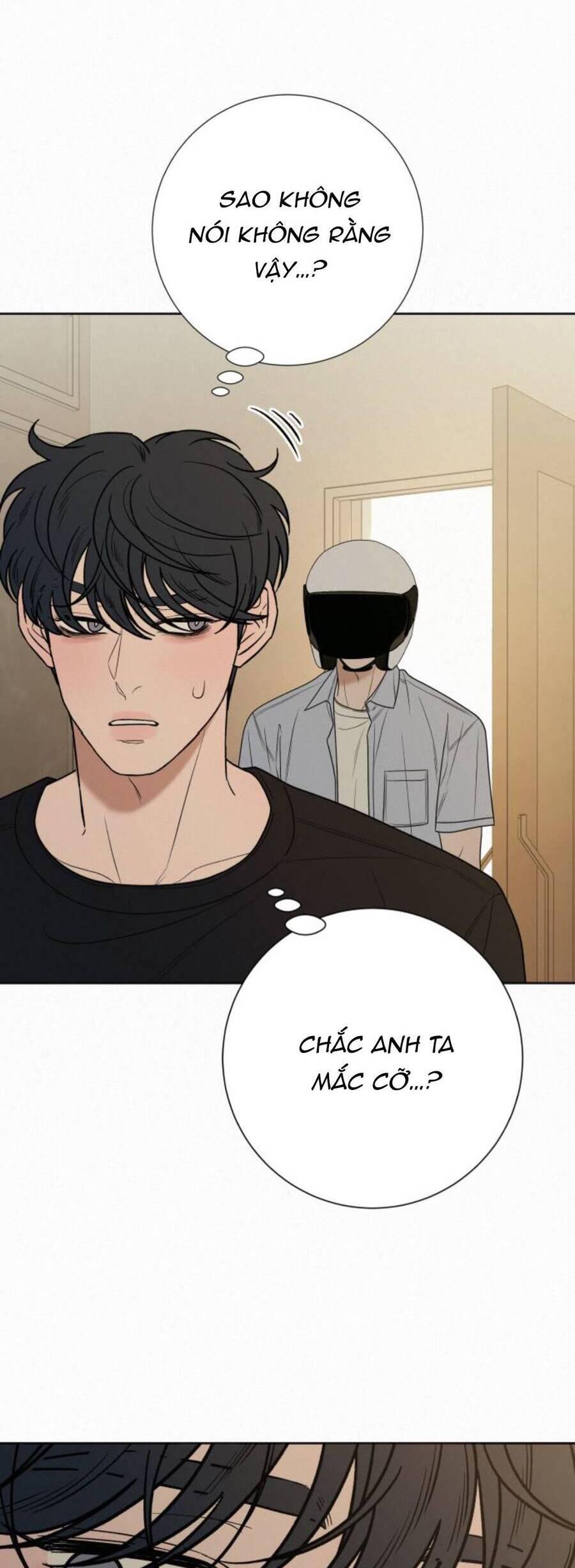 Tình Yêu Trong Sáng 