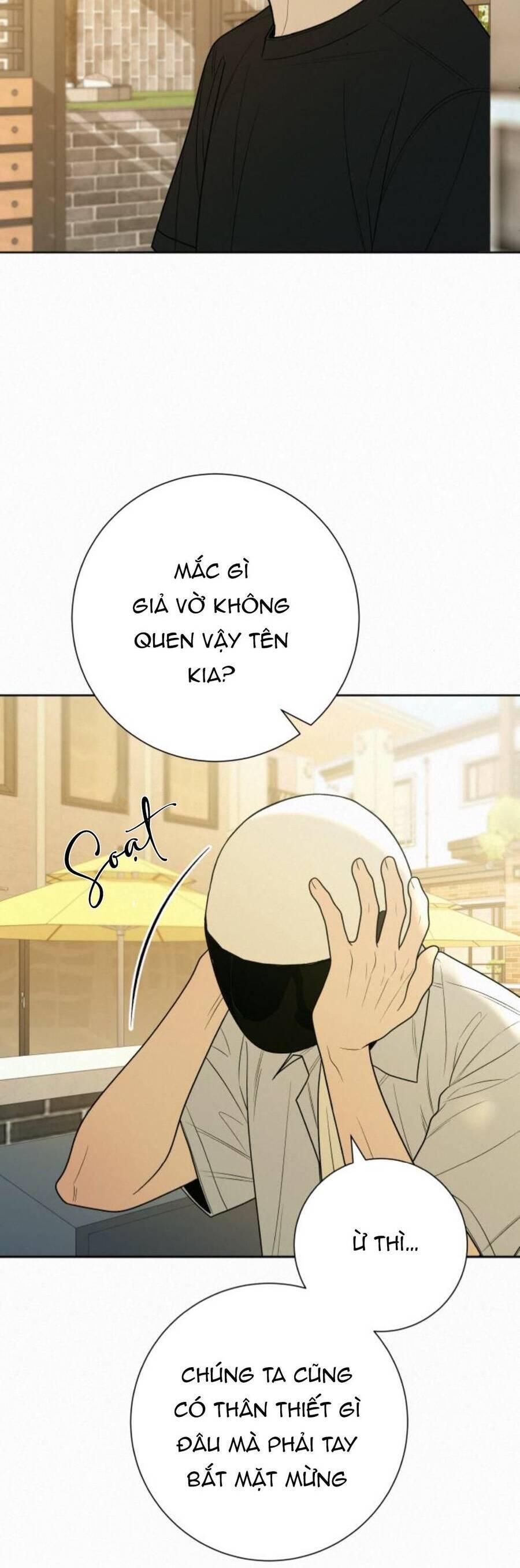 Tình Yêu Trong Sáng 