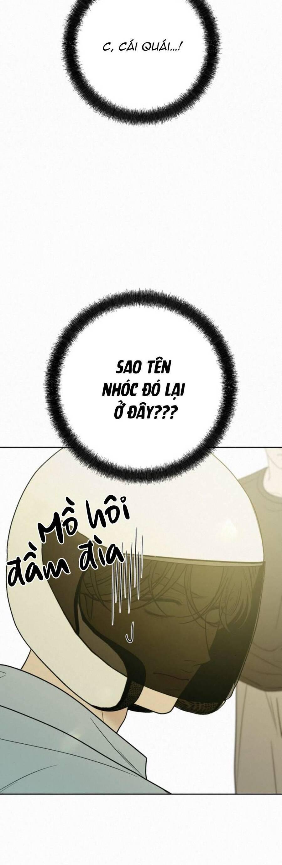 Tình Yêu Trong Sáng 
