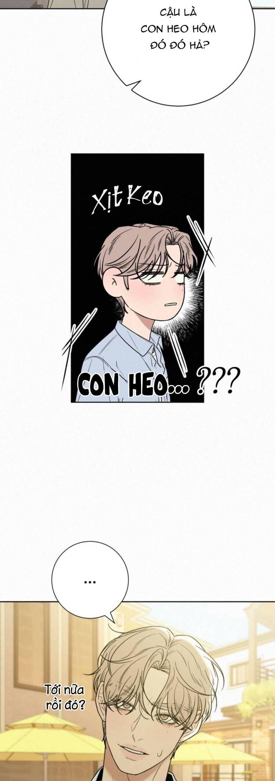 Tình Yêu Trong Sáng 