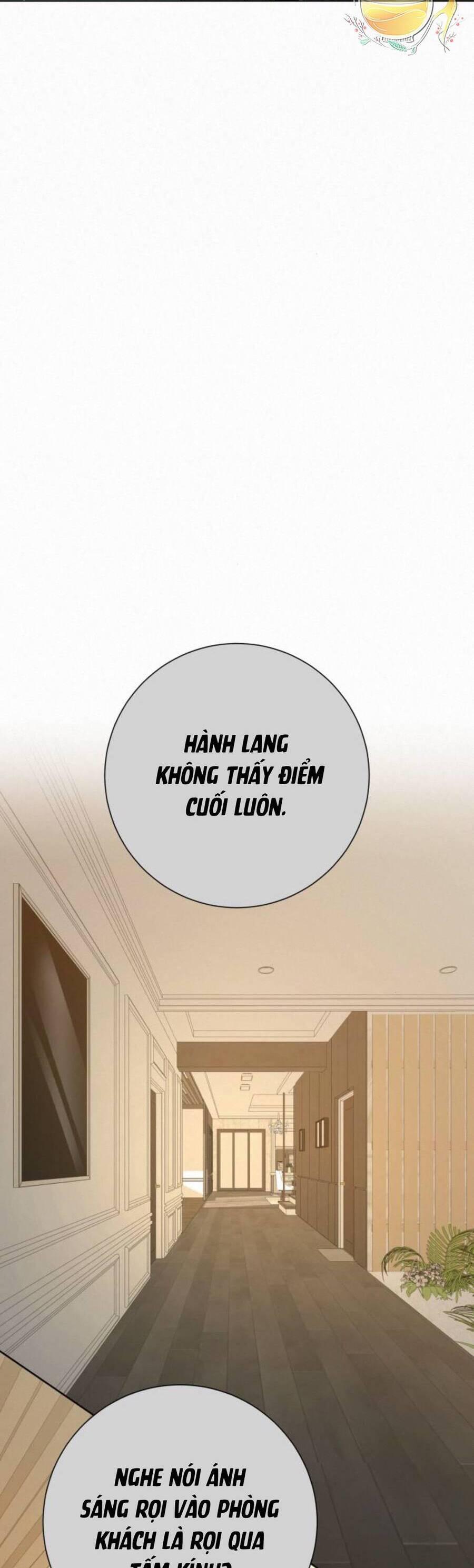 Tình Yêu Trong Sáng 