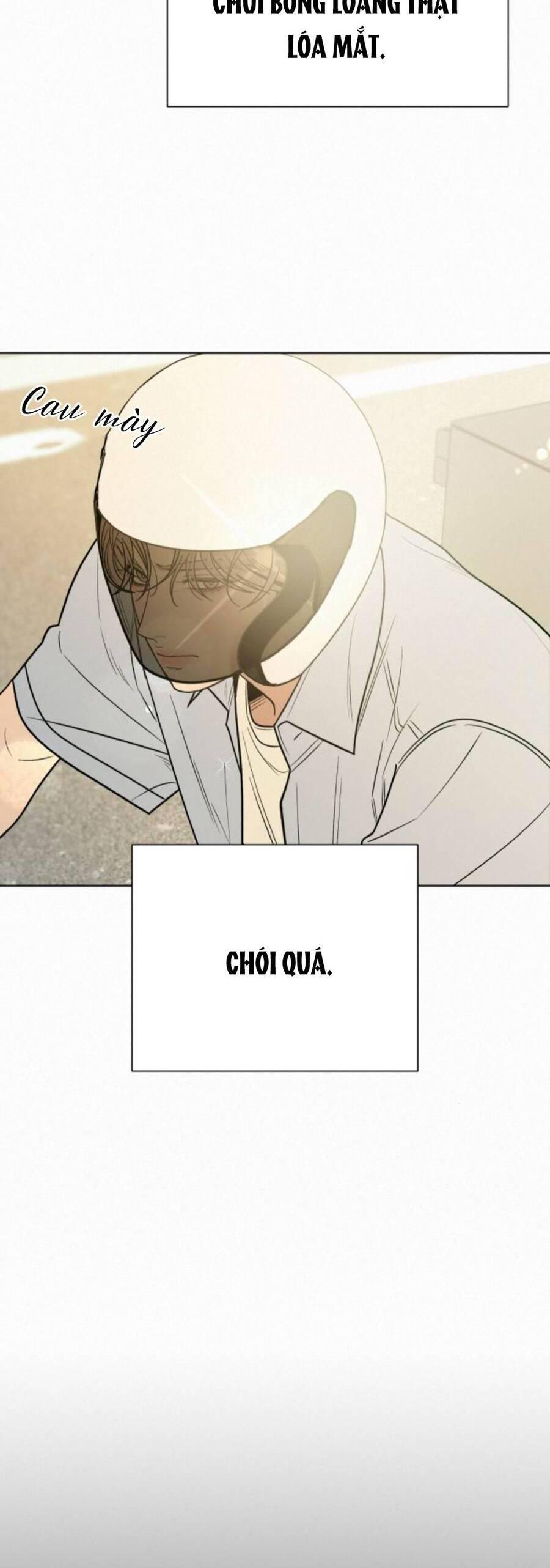 Tình Yêu Trong Sáng 