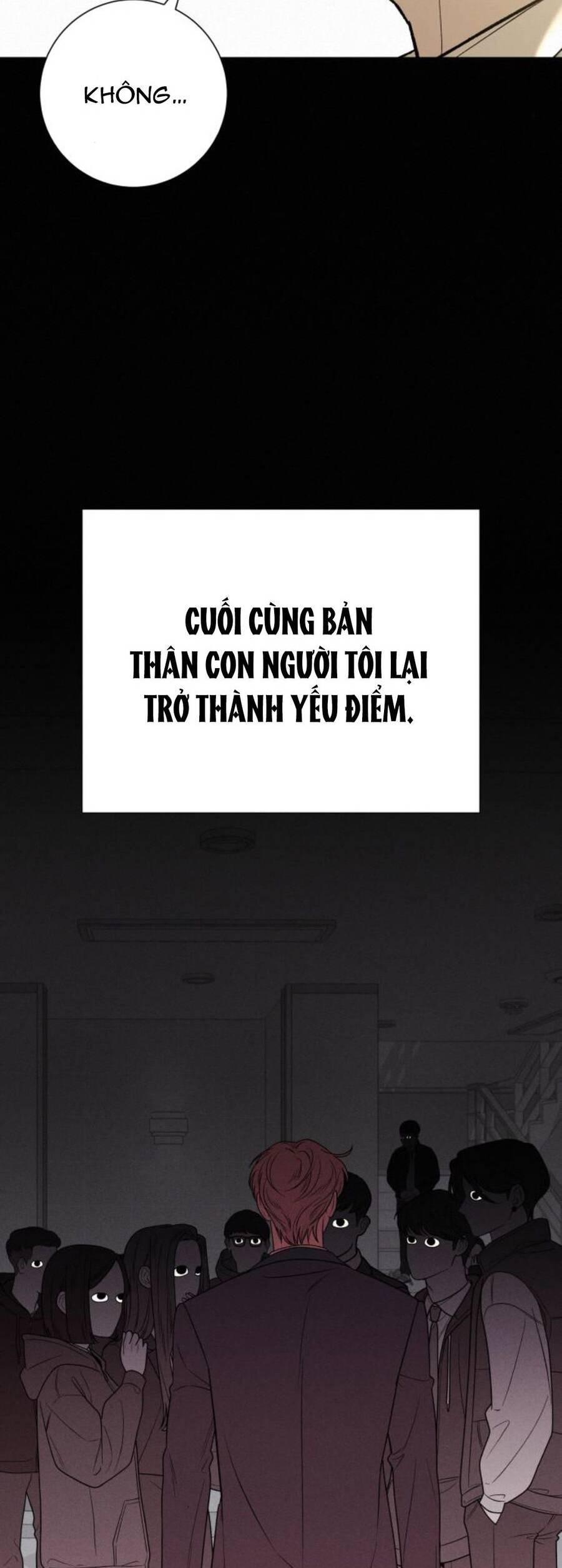 Tình Yêu Trong Sáng 