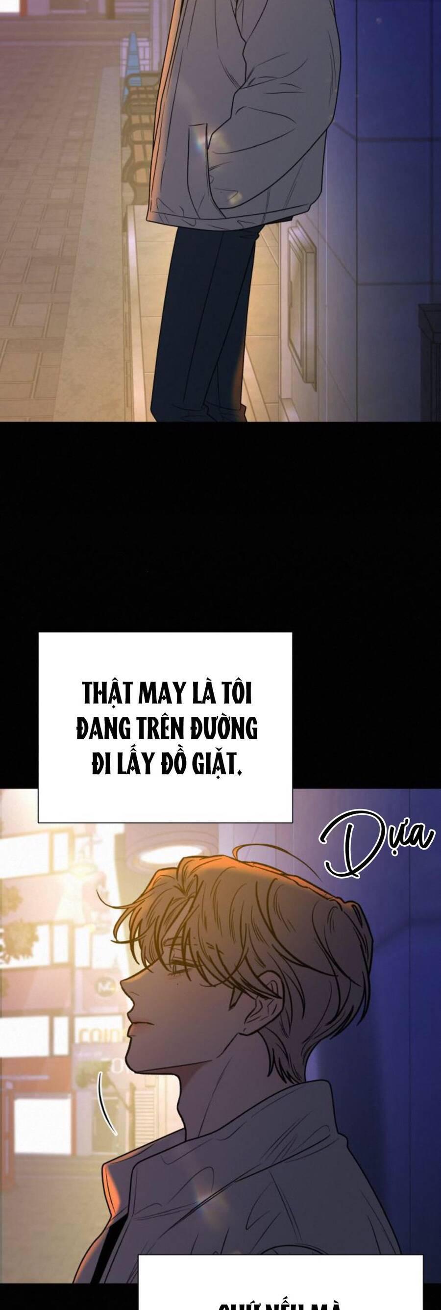 Tình Yêu Trong Sáng 