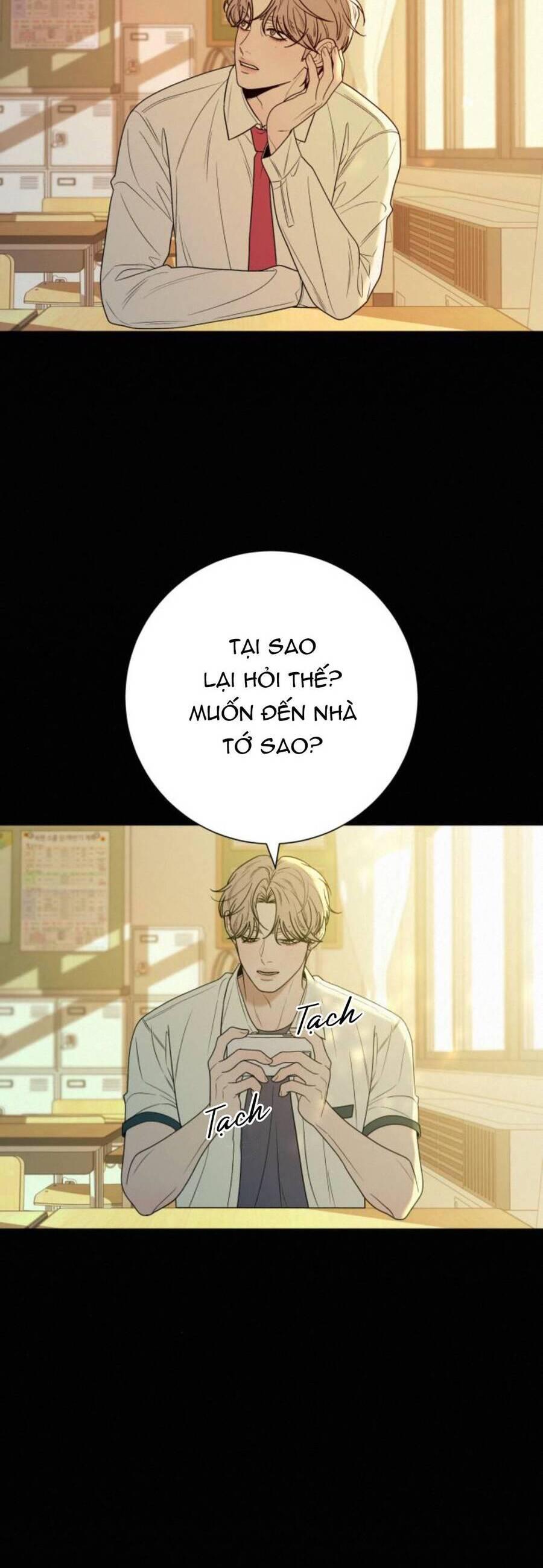 Tình Yêu Trong Sáng 