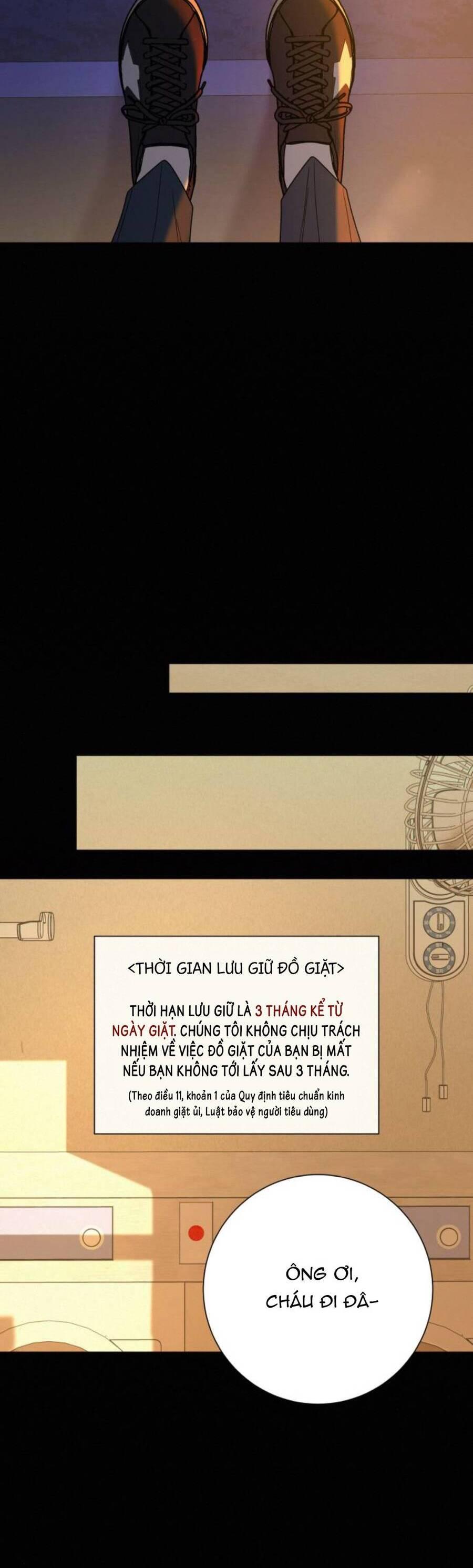 Tình Yêu Trong Sáng 