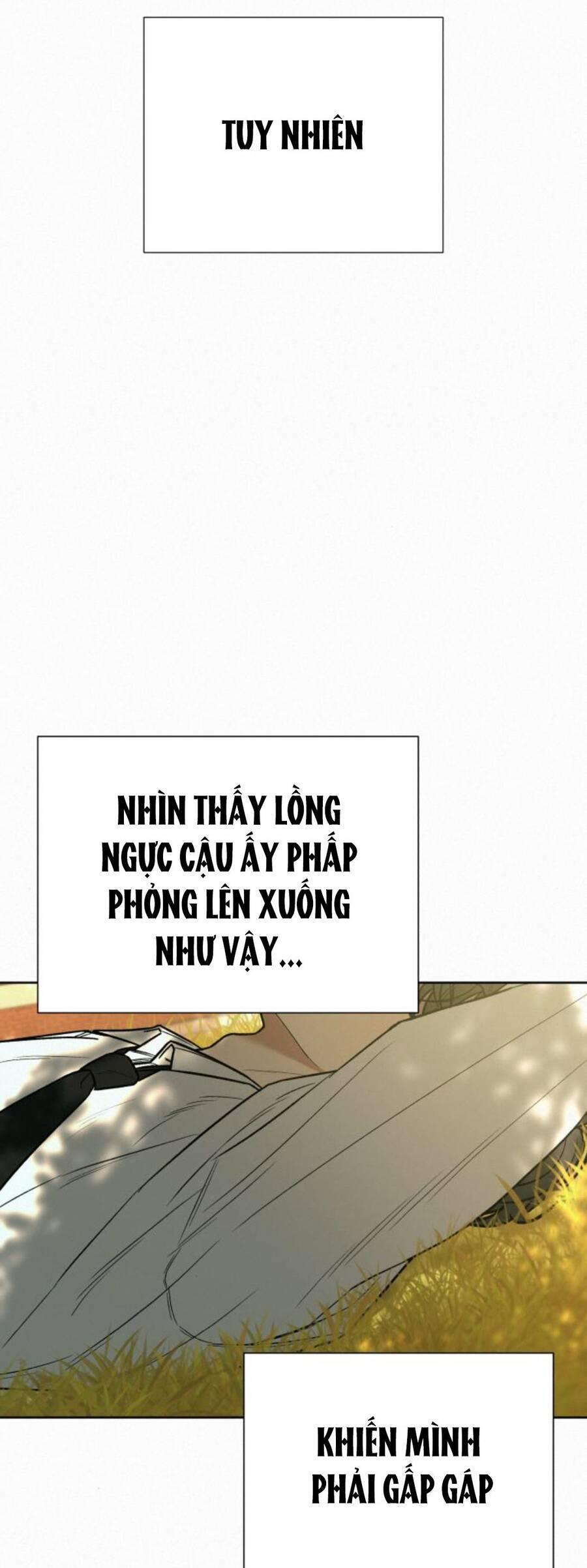 Tình Yêu Trong Sáng 