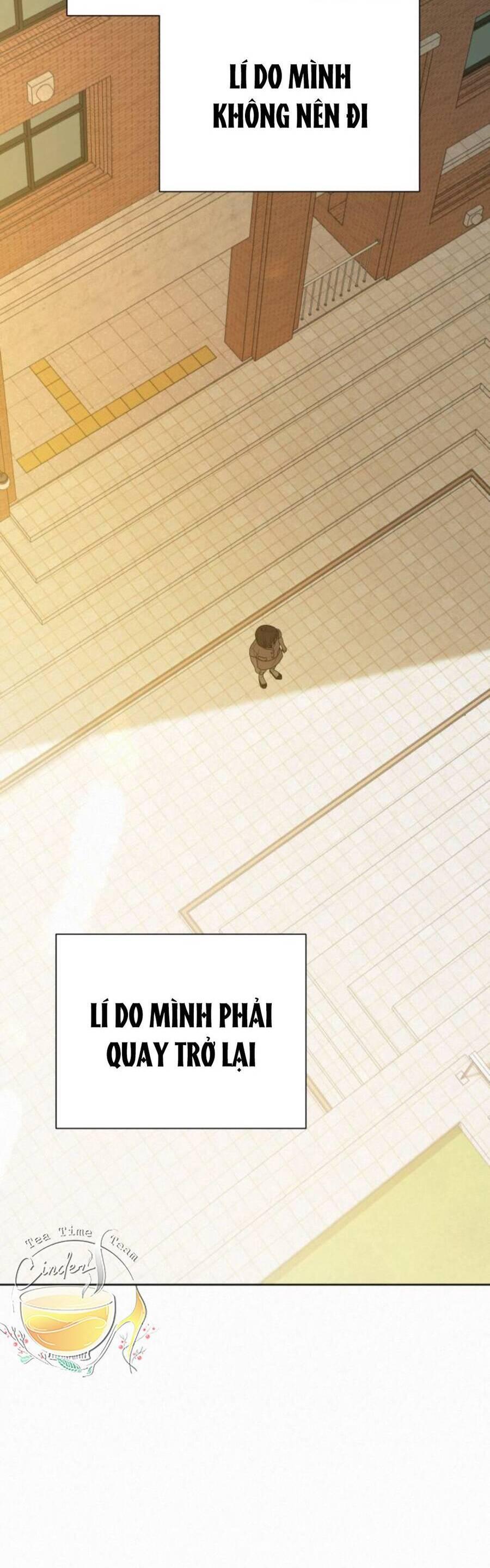 Tình Yêu Trong Sáng 