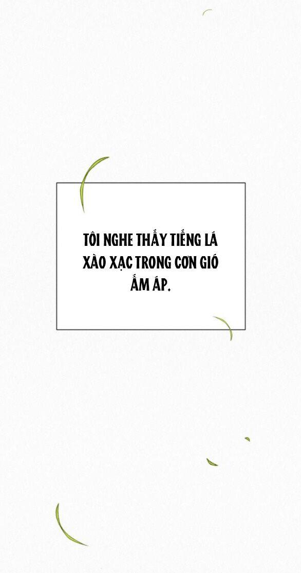 Tình Yêu Trong Sáng 