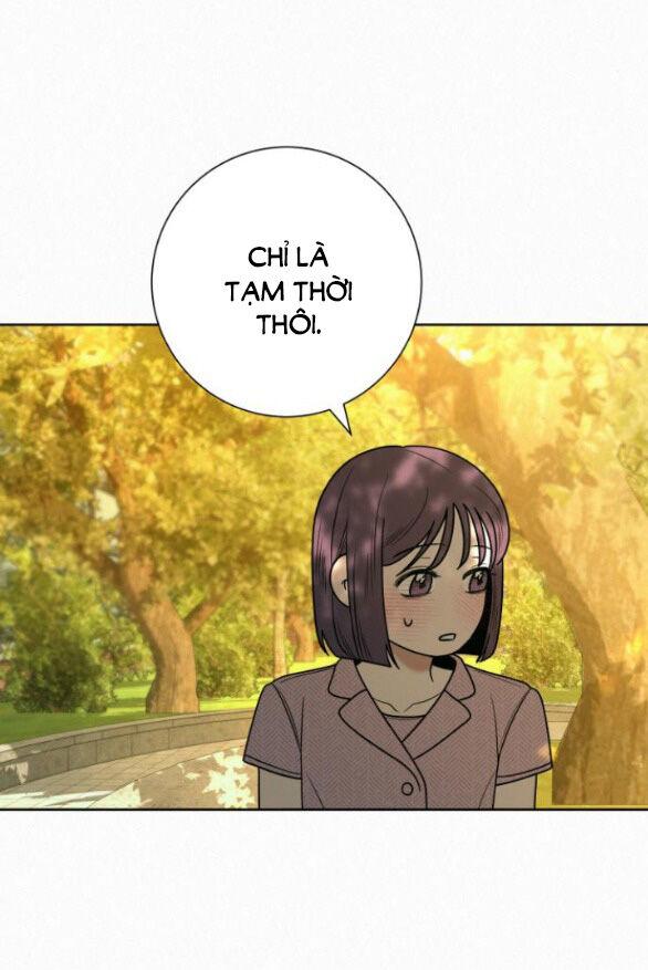 Tình Yêu Trong Sáng 