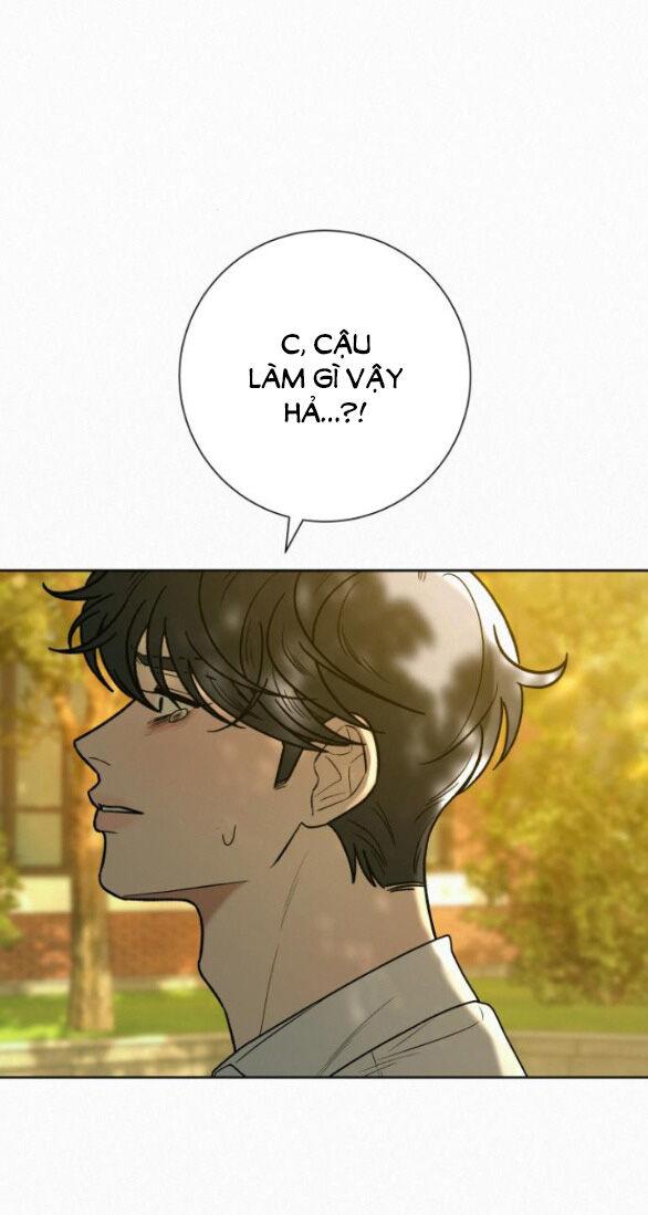 Tình Yêu Trong Sáng 