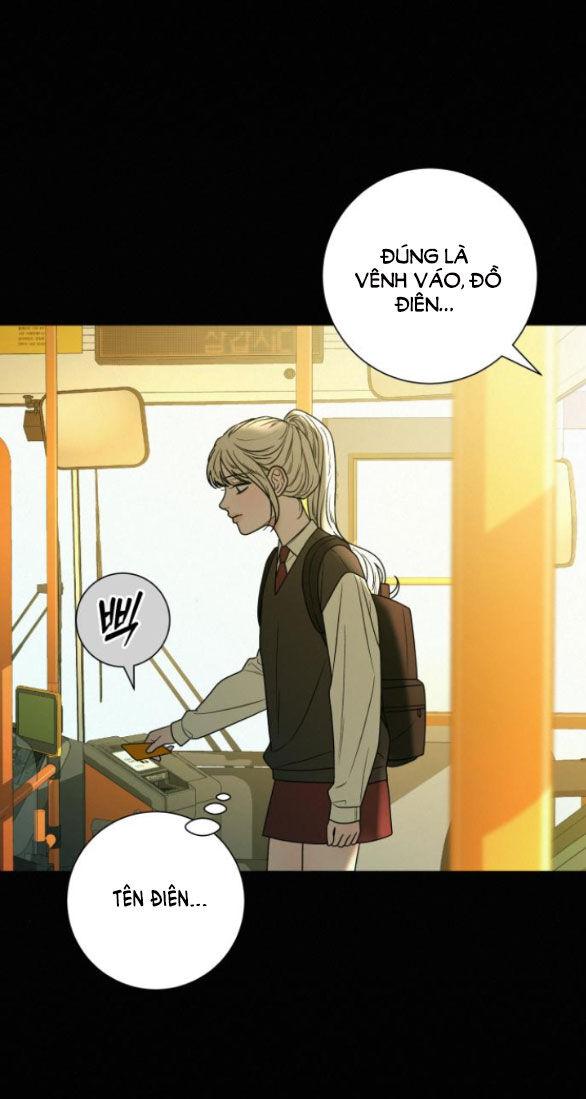 Tình Yêu Trong Sáng 