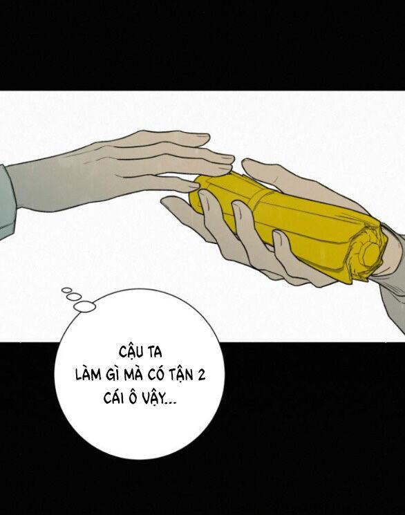 Tình Yêu Trong Sáng 