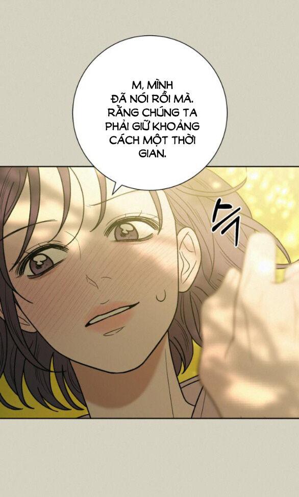 Tình Yêu Trong Sáng 