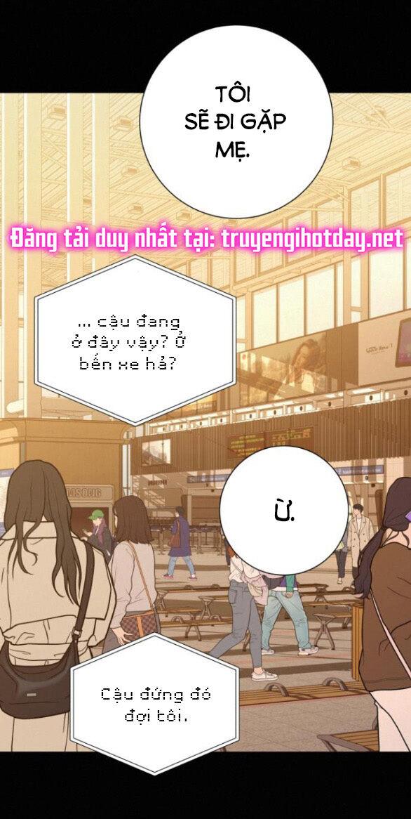 Tình Yêu Trong Sáng 