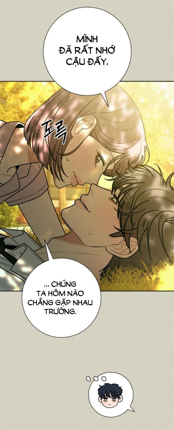 Tình Yêu Trong Sáng 