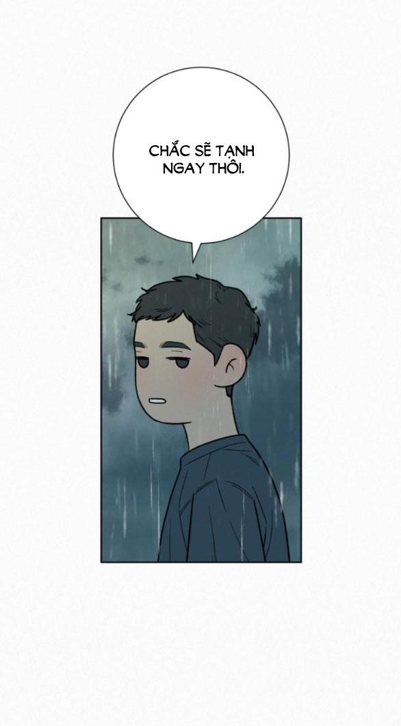 Tình Yêu Trong Sáng 