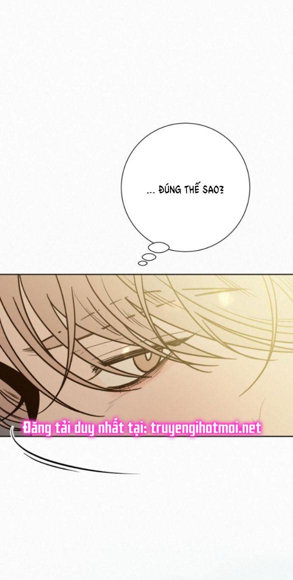 Tình Yêu Trong Sáng 