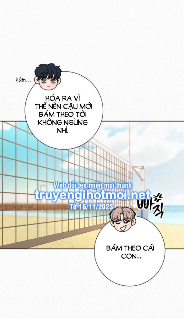 Tình Yêu Trong Sáng 