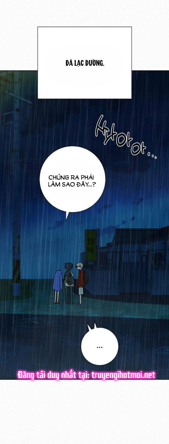 Tình Yêu Trong Sáng 