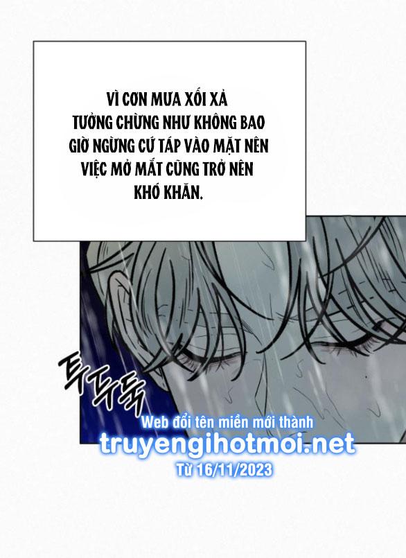 Tình Yêu Trong Sáng 