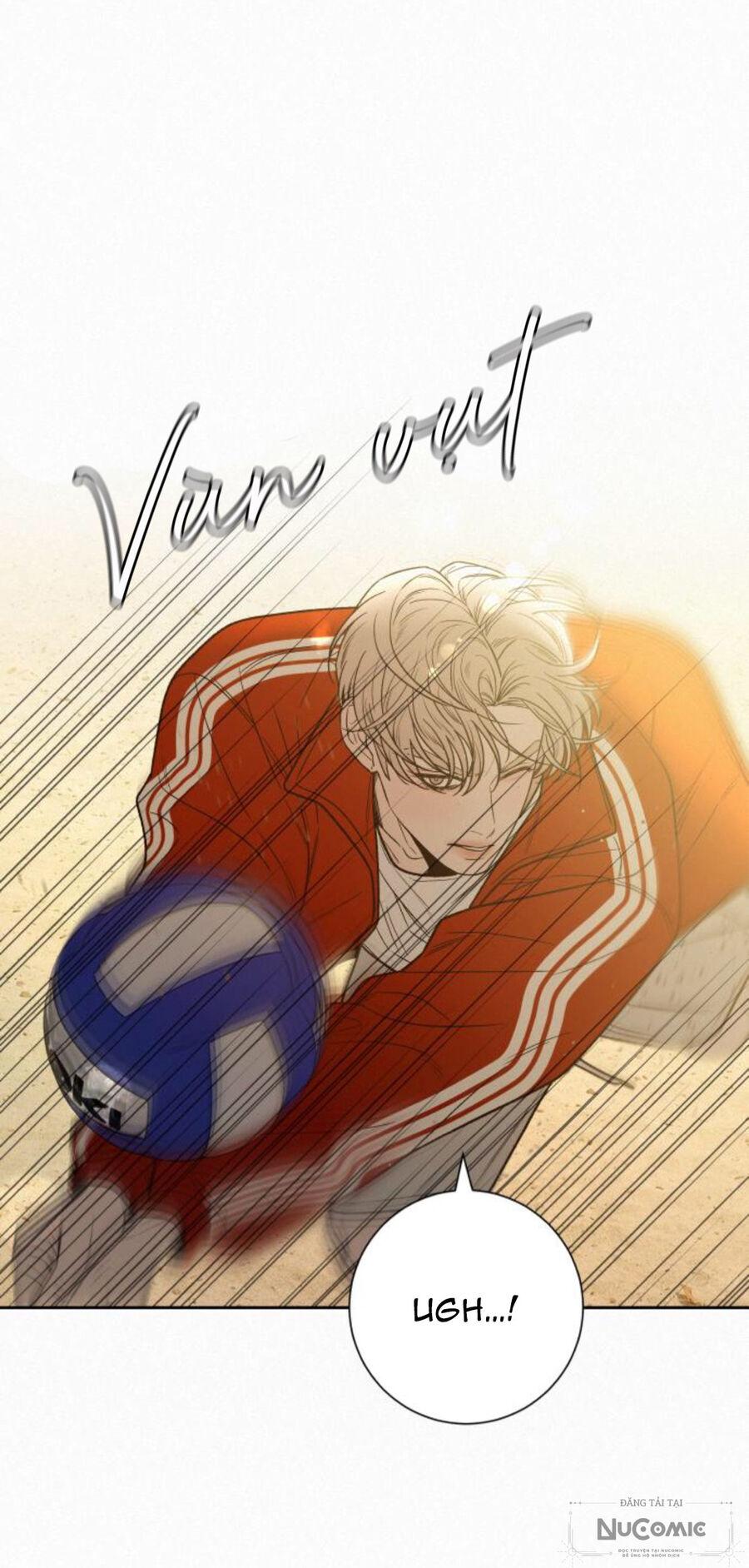Tình Yêu Trong Sáng 