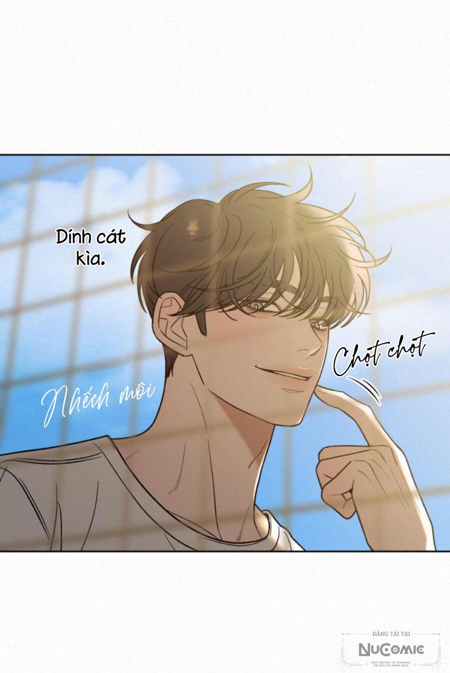 Tình Yêu Trong Sáng 
