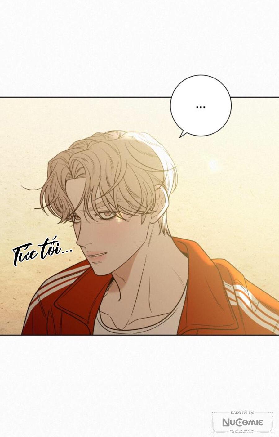 Tình Yêu Trong Sáng 