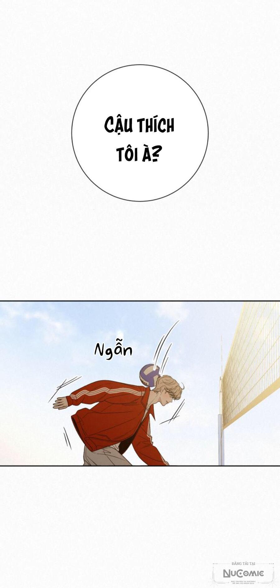 Tình Yêu Trong Sáng 
