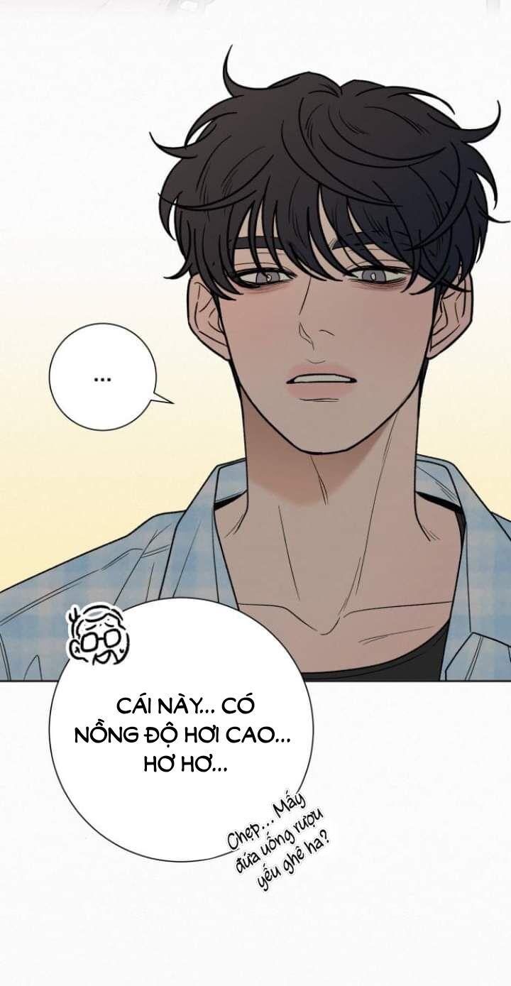 Tình Yêu Trong Sáng 