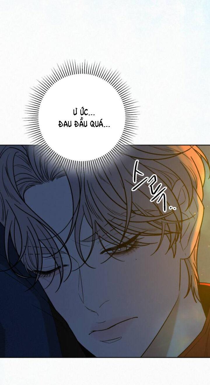 Tình Yêu Trong Sáng 