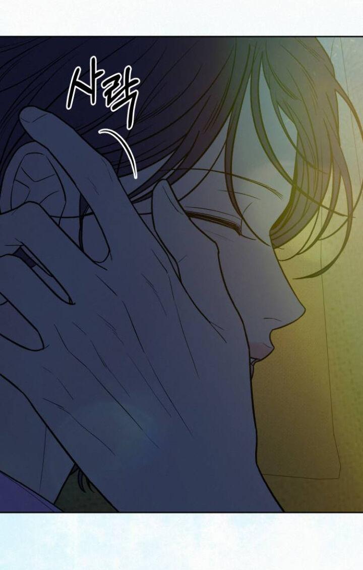Tình Yêu Trong Sáng 