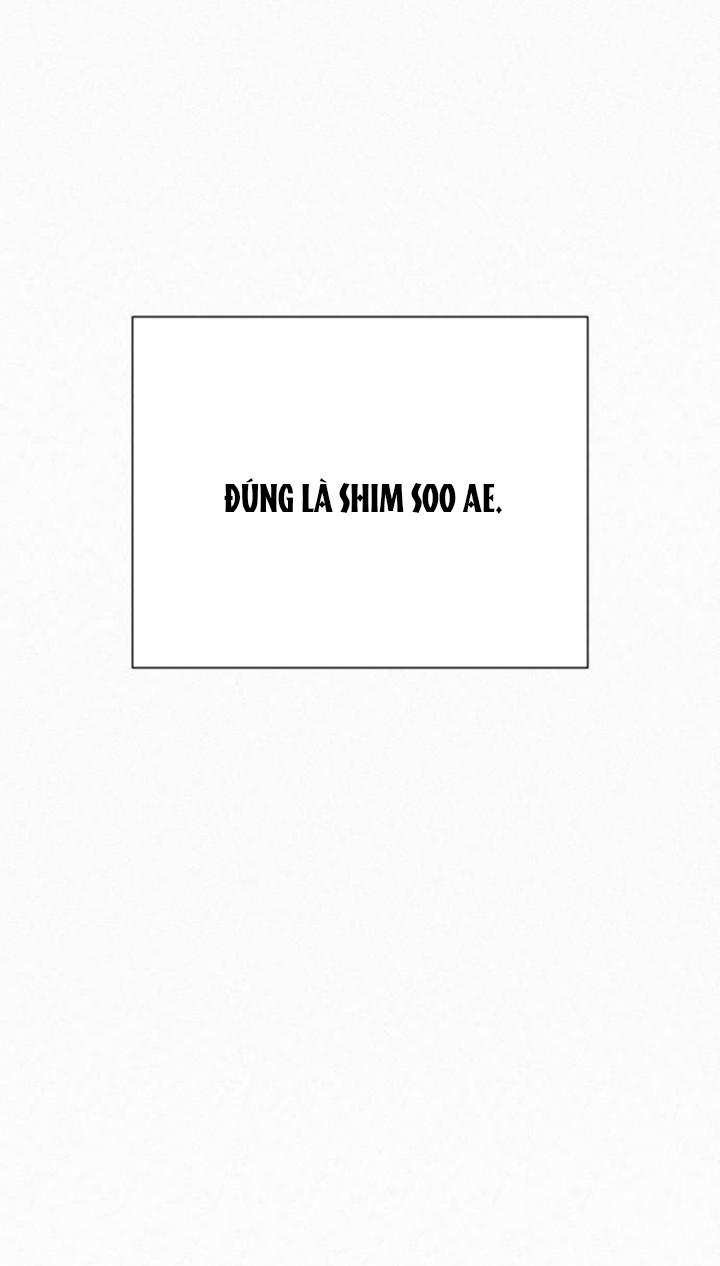 Tình Yêu Trong Sáng 