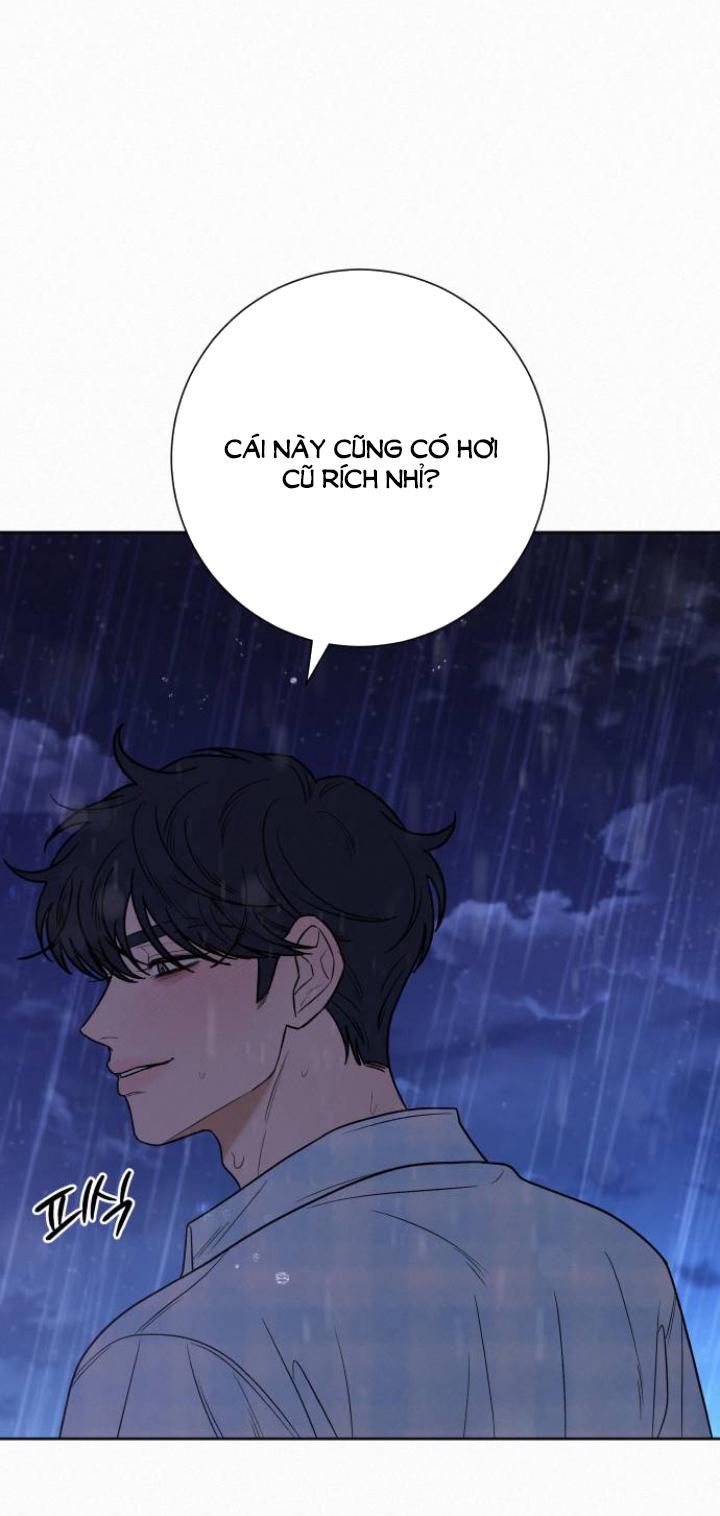 Tình Yêu Trong Sáng 