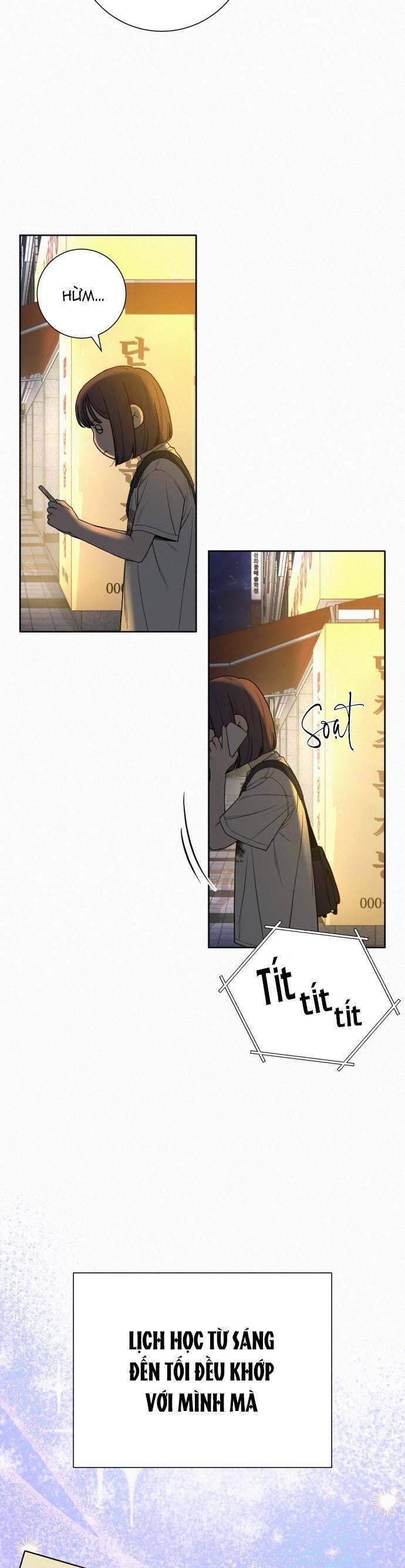 Tình Yêu Trong Sáng 