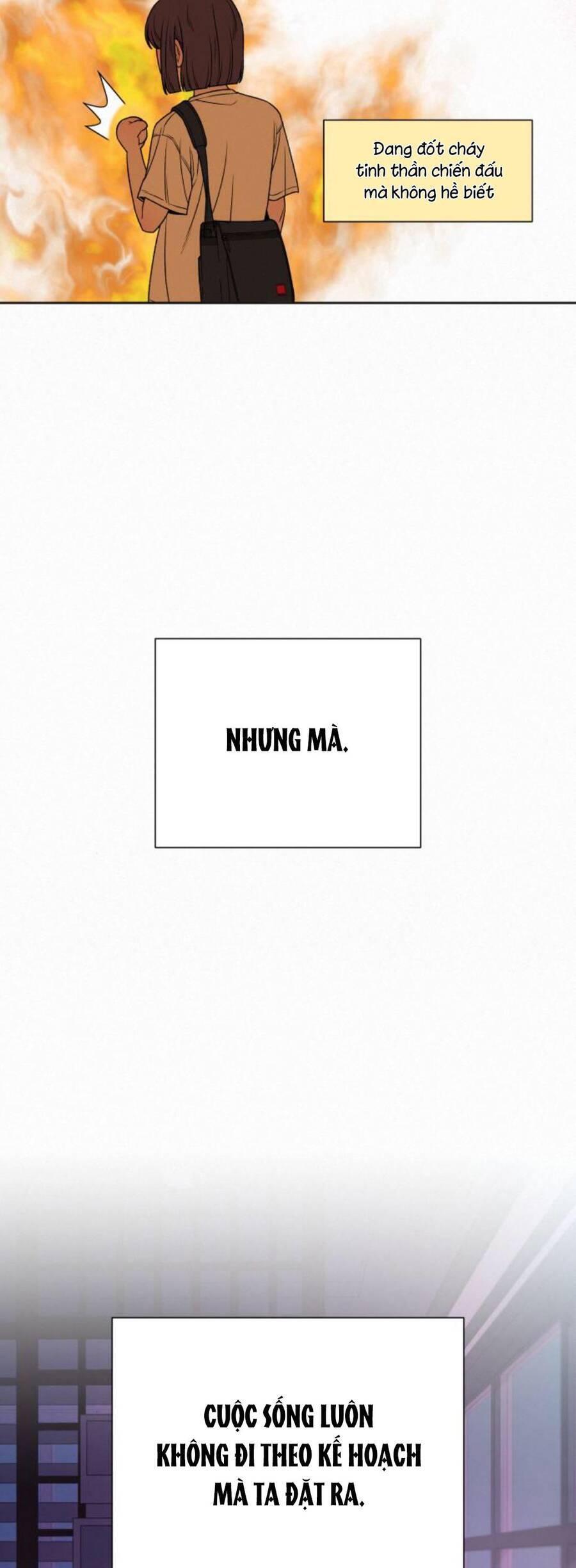 Tình Yêu Trong Sáng 