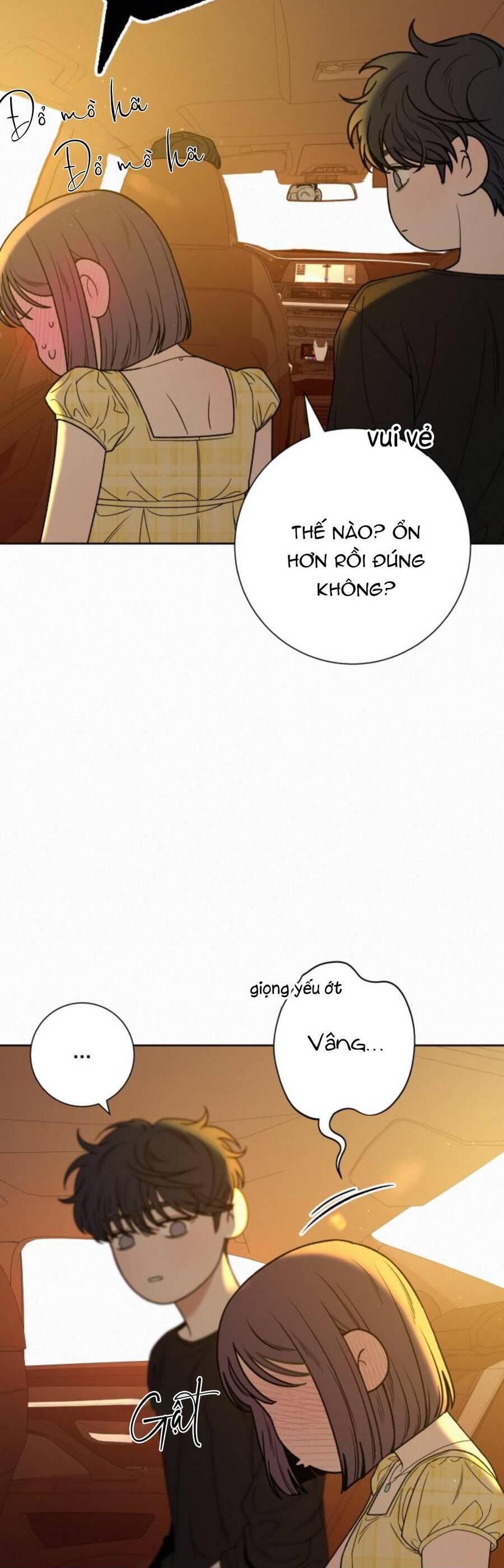Tình Yêu Trong Sáng 