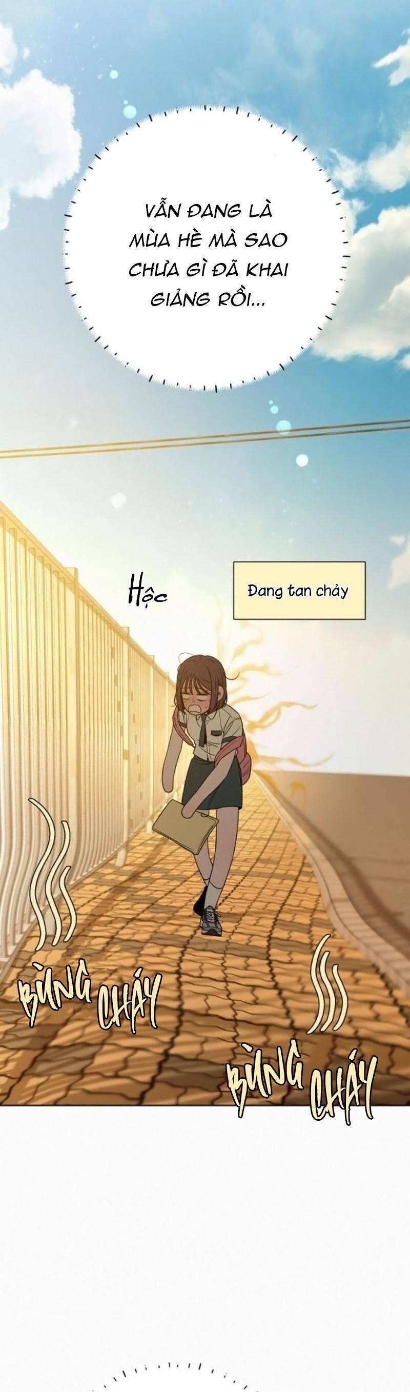 Tình Yêu Trong Sáng 