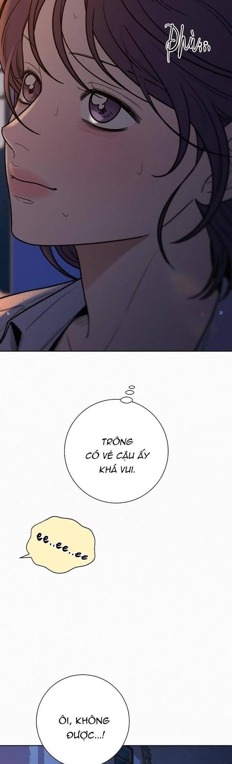Tình Yêu Trong Sáng 