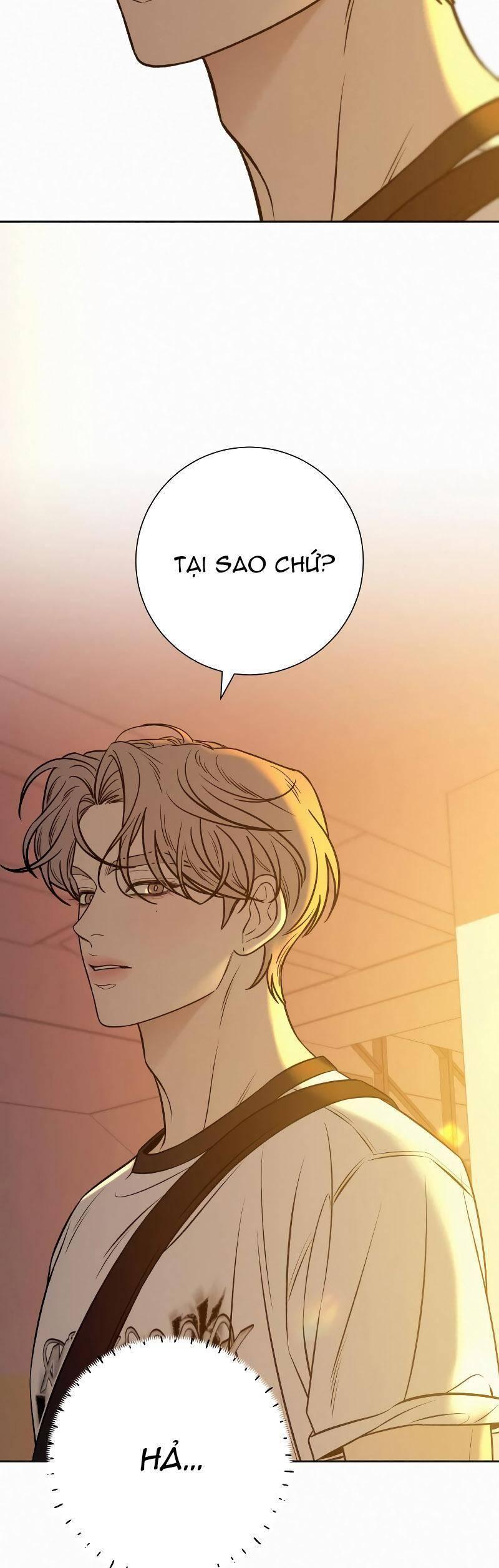 Tình Yêu Trong Sáng 