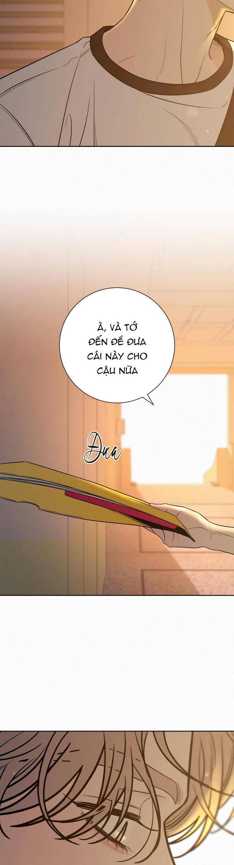 Tình Yêu Trong Sáng 