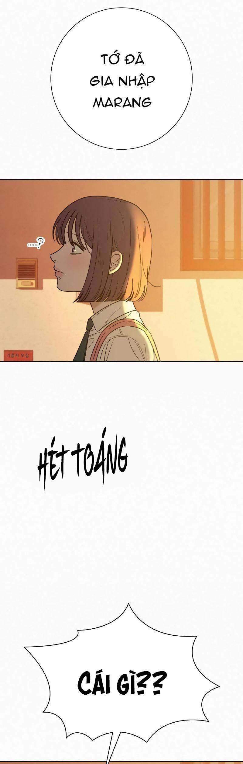 Tình Yêu Trong Sáng 