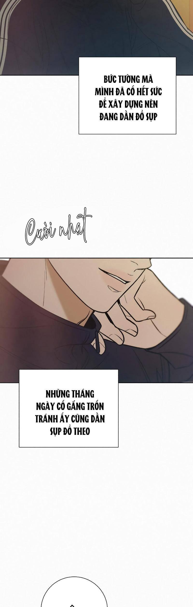 Tình Yêu Trong Sáng 