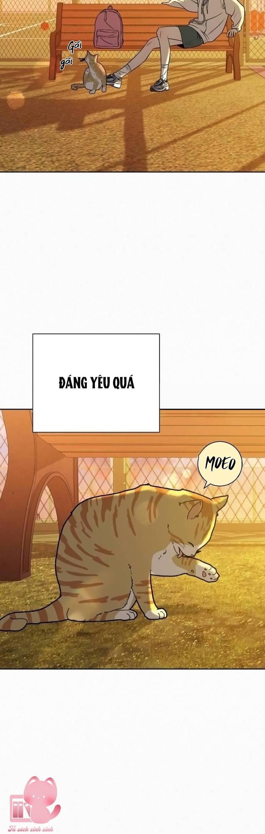 Tình Yêu Trong Sáng 
