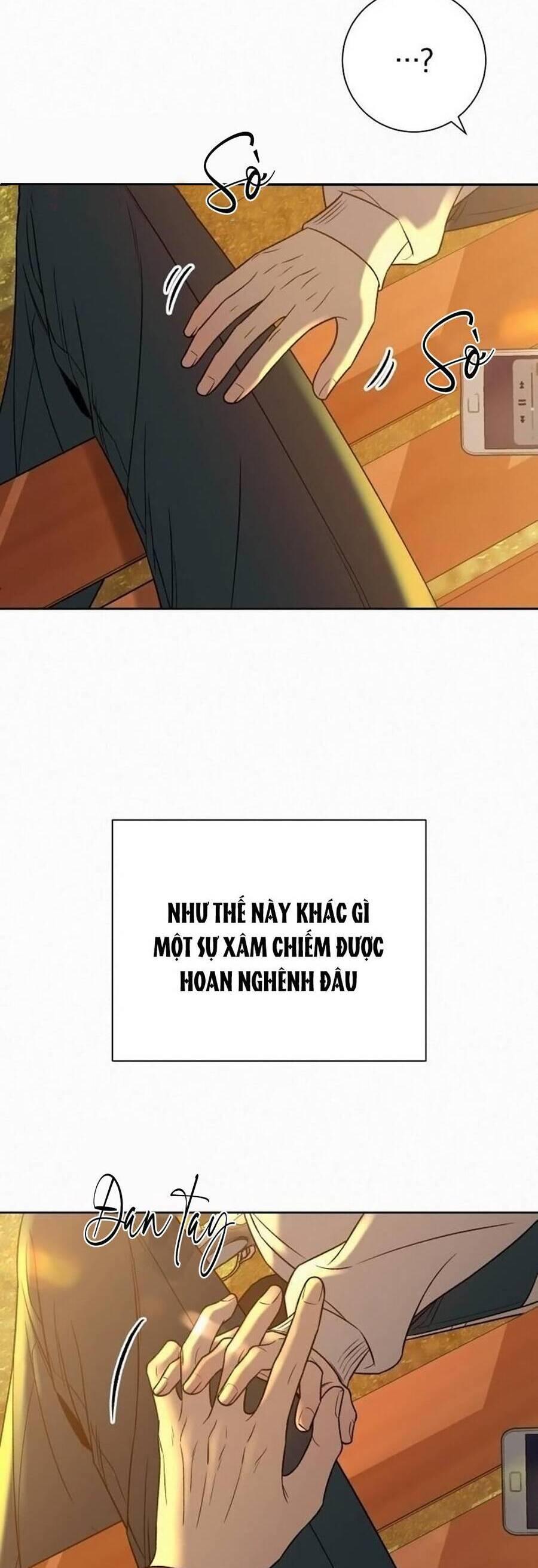Tình Yêu Trong Sáng 