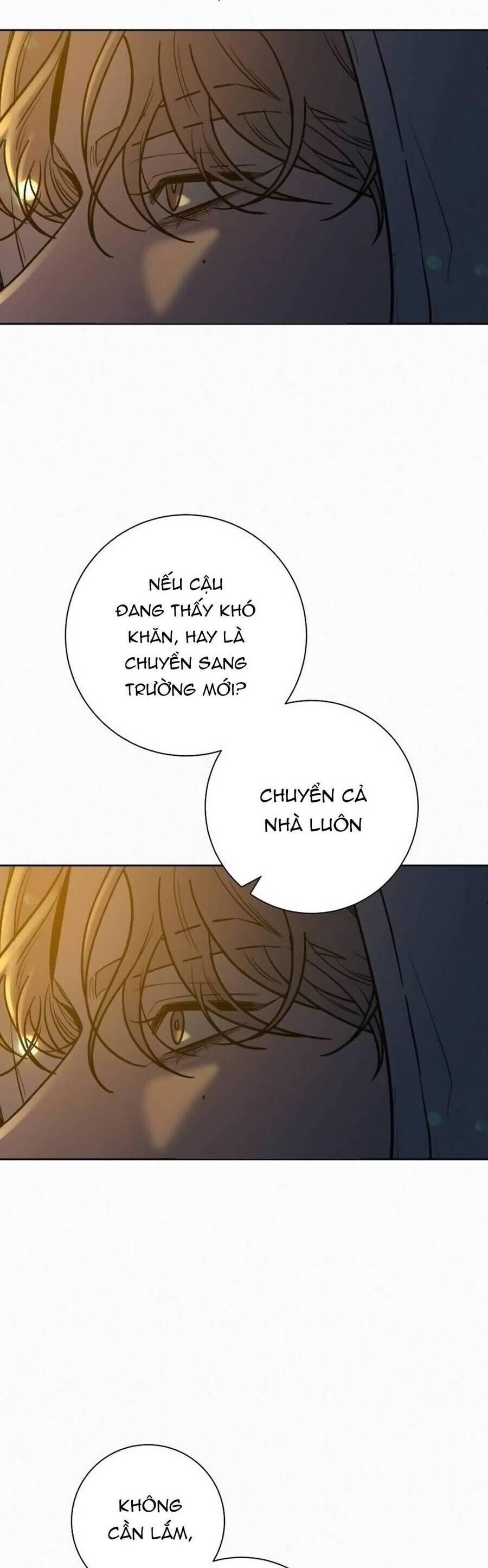 Tình Yêu Trong Sáng 